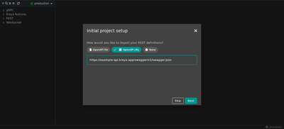 Adding a REST importer via the initial project setup